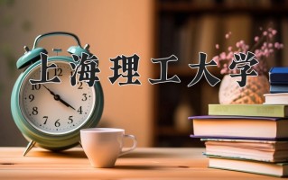 2024年上海理工大学招生章程，附办学层次和录取规则