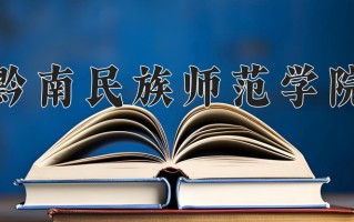 2024黔南民族师范学院录取分数线，重庆录取最低分493