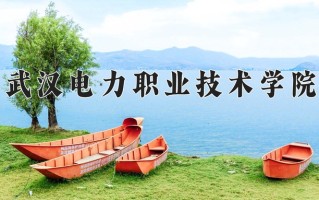 2024年武汉电力职业技术学院招生章程，附办学层次和录取规则