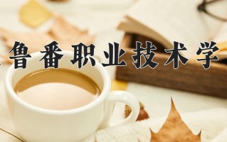 2024年吐鲁番职业技术学院招生章程，附办学层次和录取规则