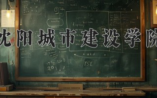 2024年沈阳城市建设学院招生章程，附办学层次和录取规则