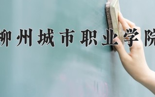 2024年柳州城市职业学院招生章程，附办学层次和录取规则