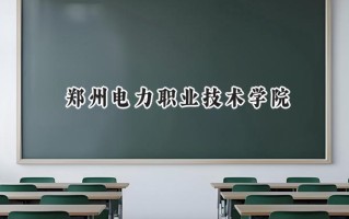 2024郑州电力职业技术学院录取分数线：陕西最低335分
