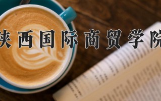 2025年陕西国际商贸学院在河南计划招生人数（附学费及专业录取分)