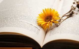 专家解读2024年高考作文，题目为啥这样出？