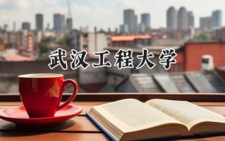 2024武汉工程大学录取分数线：天津最低562分