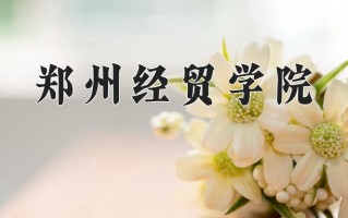 2025年郑州经贸学院在四川计划招生人数（附学费及专业录取分)