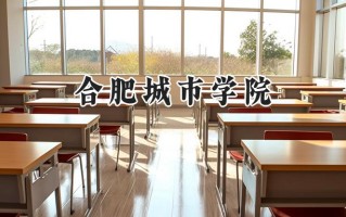 2024合肥城市学院录取分数线：陕西最低378分