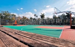 2024年广西民族大学(艺术类)录取分数线，河北最低508分