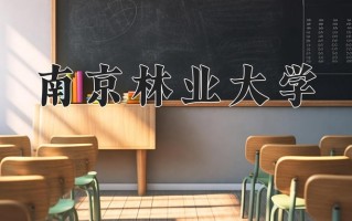 材料化学专业学费多少？附江苏2024年招收的大学