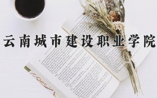 云南202分能上什么大学？附2025年可以报考的大学名单