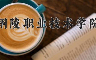 2024年铜陵职业技术学院招生章程，附办学层次和录取规则