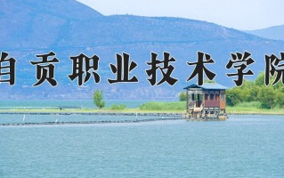 2024年自贡职业技术学院招生章程，附办学层次和录取规则