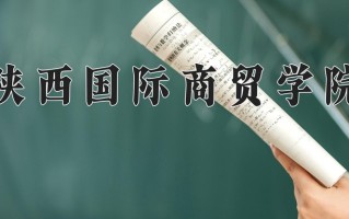 2025年陕西国际商贸学院在新疆计划招生人数（附学费及专业录取分)