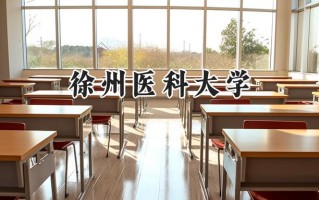 徐州医科大学2024在上海录取分数线是多少？最低531分/最高543分