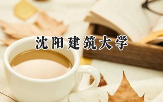 2024沈阳建筑大学录取分数线：宁夏最低430分