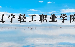 辽宁考生多少分能上辽宁轻工职业学院？2025最低171分