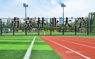 智能车辆工程专业2025年广东招生院校有哪些？含学费及招生人数