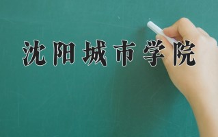 2025年沈阳城市学院在新疆计划招生人数（附学费及专业录取分)