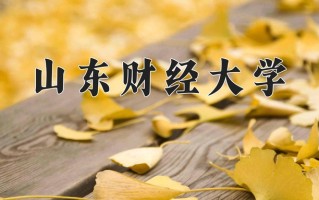 2024年山东财经大学招生章程，附办学层次和录取规则
