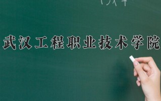 2024年武汉工程职业技术学院招生章程，附办学层次和录取规则