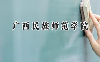 2024广西民族师范学院录取分数线：江苏最低486分
