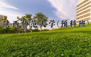 2024陕西师范大学(预科班)录取分数线，重庆录取最低分578