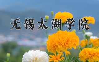 2025年无锡太湖学院在四川计划招生人数（附学费及专业录取分)