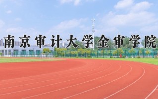 南京审计大学金审学院最厉害的专业-2024南京审计大学金审学院最好专业