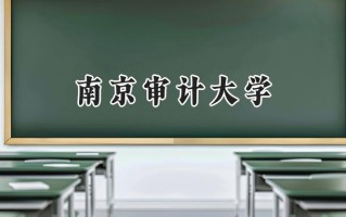 南京审计大学2024在青海录取分数线是多少？最低460分/最高523分