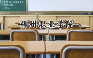 梧州职业学院2024在山东录取分数线是多少？最低345分/最高394分