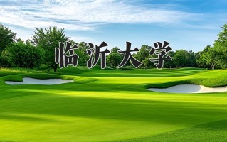 2025年临沂大学在河南计划招生人数（附学费及专业录取分)
