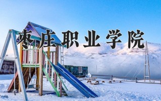 2024年枣庄职业学院招生章程，附办学层次和录取规则