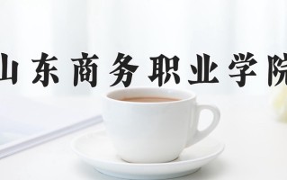 山东商务职业学院一年学费多少钱及各专业的收费标准(2025参考）