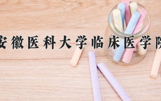 2024年安徽医科大学临床医学院招生章程，附办学层次和录取规则