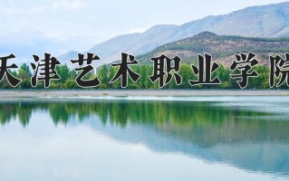 2024年天津艺术职业学院招生章程，附办学层次和录取规则