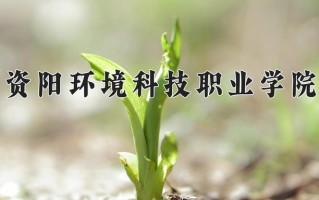 2025年资阳环境科技职业学院在四川计划招生人数（附学费及专业录取分)