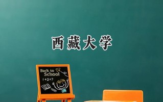 西藏大学2024在青海录取分数线是多少？最低383分/最高496分