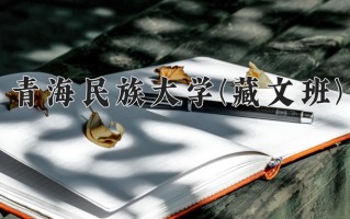 青海民族大学(藏文班)一年学费多少钱及各专业的收费标准(2025参考）