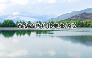 2024西安高新科技职业学院录取分数线：陕西最低285分