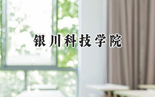 2024银川科技学院录取分数线：宁夏最低246分