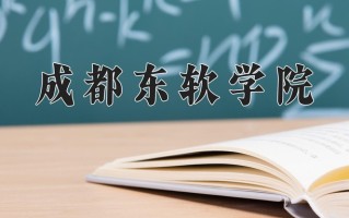 2024年成都东软学院招生章程，附办学层次和录取规则