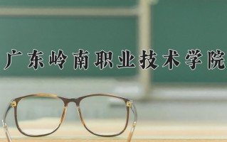 2025年广东岭南职业技术学院在新疆计划招生人数（附学费及专业录取分)