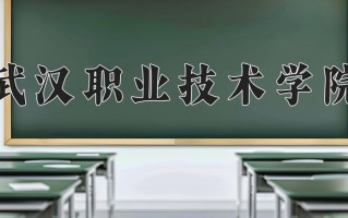 2024武汉职业技术学院录取分数线：浙江最低475分