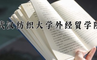 2025年武汉纺织大学外经贸学院在河南计划招生人数（附学费及专业录取分)