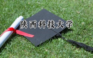 2024陕西科技大学录取分数线：江苏最低541分