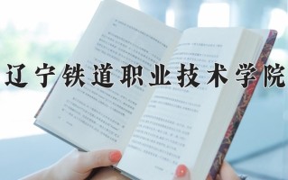 2025年辽宁铁道职业技术学院在新疆计划招生人数（附学费及专业录取分)
