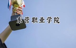 东营职业学院2024在山东录取分数线是多少？最低297分/最高493分