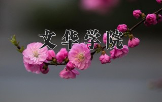 云南464分能上什么大学？附2025年可以报考的大学名单