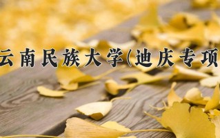 云南民族大学(迪庆专项)一年学费多少钱及各专业的收费标准(2025参考）